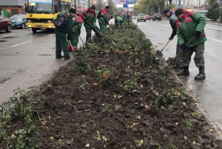 Уборка, подготовка растений к зиме и дров для пунктов несокрушимости: одесские коммунальщики активно готовят город к холодам (фото)