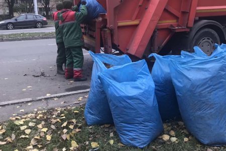 Уборка, подготовка растений к зиме и дров для пунктов несокрушимости: одесские коммунальщики активно готовят город к холодам (фото)
