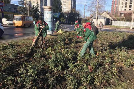 Уборка, подготовка растений к зиме и дров для пунктов несокрушимости: одесские коммунальщики активно готовят город к холодам (фото)