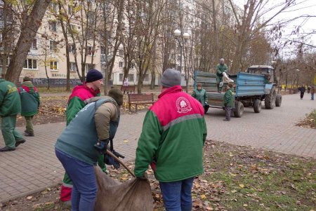 Уборка, подготовка растений к зиме и дров для пунктов несокрушимости: одесские коммунальщики активно готовят город к холодам (фото)