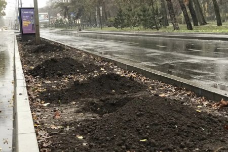 Уборка, подготовка растений к зиме и дров для пунктов несокрушимости: одесские коммунальщики активно готовят город к холодам (фото)