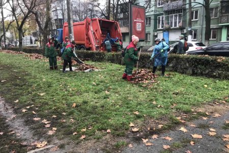 Уборка, подготовка растений к зиме и дров для пунктов несокрушимости: одесские коммунальщики активно готовят город к холодам (фото)