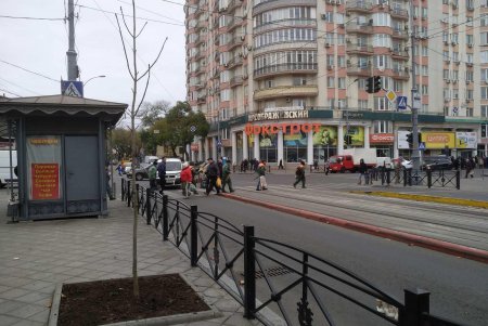 Уборка, подготовка растений к зиме и дров для пунктов несокрушимости: одесские коммунальщики активно готовят город к холодам (фото)