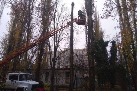 Уборка, подготовка растений к зиме и дров для пунктов несокрушимости: одесские коммунальщики активно готовят город к холодам (фото)
