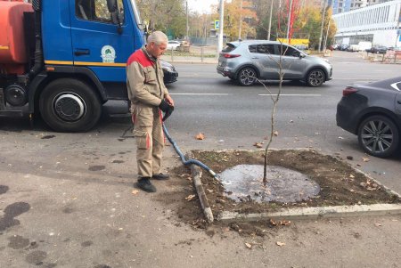 Уборка, подготовка растений к зиме и дров для пунктов несокрушимости: одесские коммунальщики активно готовят город к холодам (фото)