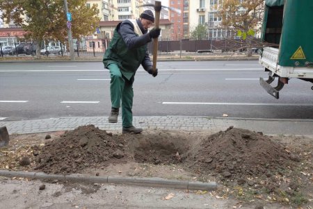 Уборка, подготовка растений к зиме и дров для пунктов несокрушимости: одесские коммунальщики активно готовят город к холодам (фото)
