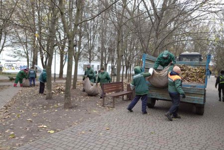 Уборка, подготовка растений к зиме и дров для пунктов несокрушимости: одесские коммунальщики активно готовят город к холодам (фото)