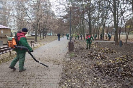 Уборка, подготовка растений к зиме и дров для пунктов несокрушимости: одесские коммунальщики активно готовят город к холодам (фото)