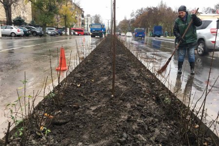 Уборка, подготовка растений к зиме и дров для пунктов несокрушимости: одесские коммунальщики активно готовят город к холодам (фото)