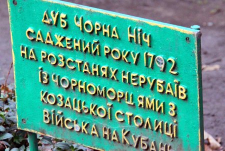 Декабрьская прогулка по переулку Матросова (фоторепортаж)