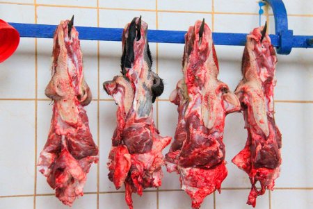 Покупаем продукты на Привозе: что и почем на знаменитом одесском рынке (фоторепортаж)