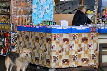 Покупаем продукты на Привозе: что и почем на знаменитом одесском рынке (фоторепортаж)