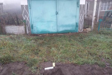 Угнали ВАЗ, а затем подожгли: в Подольском районе задержали двоих нарушителей (фото)