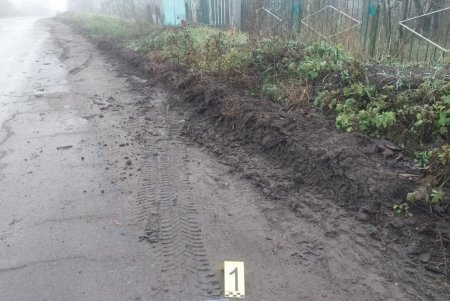 Угнали ВАЗ, а затем подожгли: в Подольском районе задержали двоих нарушителей (фото)
