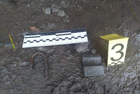 Угнали ВАЗ, а затем подожгли: в Подольском районе задержали двоих нарушителей (фото)