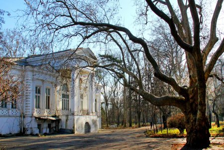  Прекрасное белое здание дачи Ашкенази (фоторепортаж)