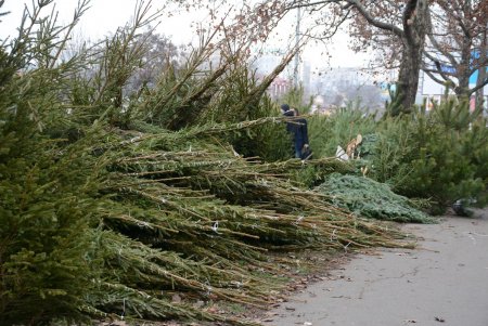 Праздники приближаются: одесситы делают покупки на елочных базарах (фоторепортаж)