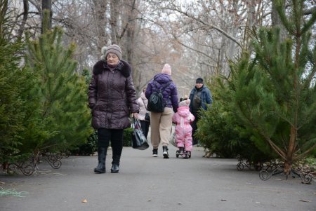 Праздники приближаются: одесситы делают покупки на елочных базарах (фоторепортаж)