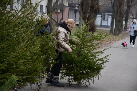 Праздники приближаются: одесситы делают покупки на елочных базарах (фоторепортаж)