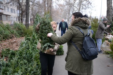 Праздники приближаются: одесситы делают покупки на елочных базарах (фоторепортаж)