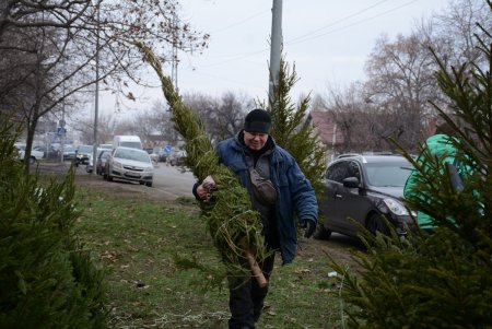Праздники приближаются: одесситы делают покупки на елочных базарах (фоторепортаж)