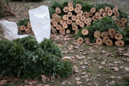 Праздники приближаются: одесситы делают покупки на елочных базарах (фоторепортаж)