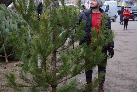 Праздники приближаются: одесситы делают покупки на елочных базарах (фоторепортаж)