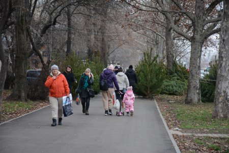 Праздники приближаются: одесситы делают покупки на елочных базарах (фоторепортаж)