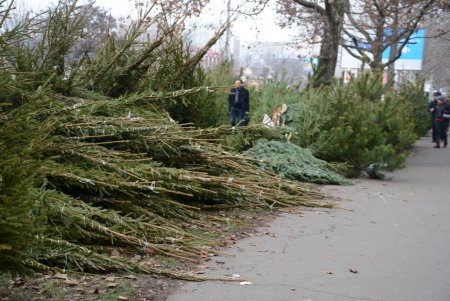 Праздники приближаются: одесситы делают покупки на елочных базарах (фоторепортаж)