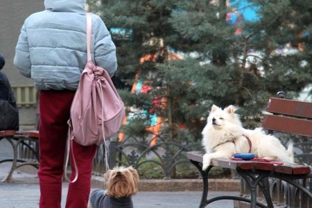 В Летнем театре одесские художники представили выставку «Летний. Снег» (фоторепортаж)