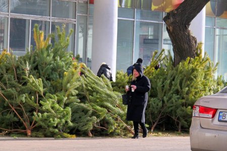 Новогодняя суета знаменитого Привоза (фоторепортаж)