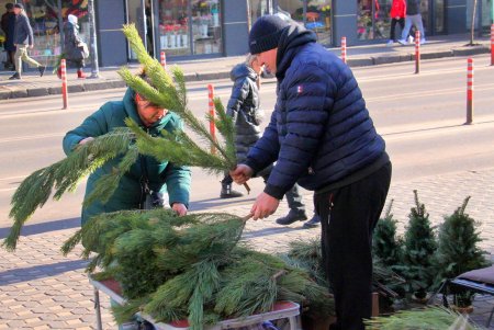 Новогодняя суета знаменитого Привоза (фоторепортаж)