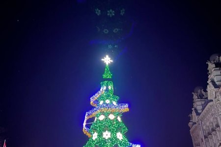 В центре города открыли елку Несокрушимости (фото, видео)