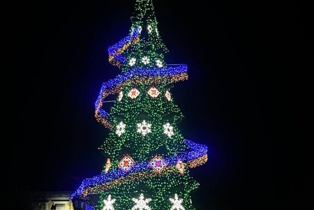 В центре города открыли елку Несокрушимости (фото, видео)