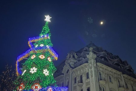 В центре города открыли елку Несокрушимости (фото, видео)
