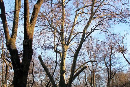 Прогулка по Лидерсовскому бульвару (фоторепортаж)