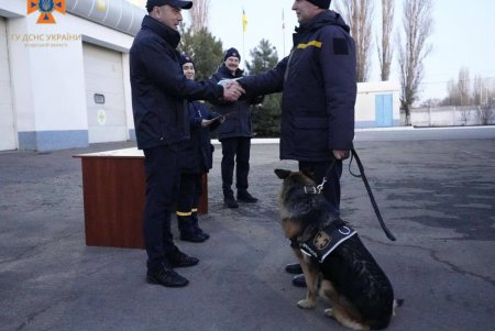 Пиротехников, водителей-саперов и кинологов наградили медалями и знаками отличия (фото)