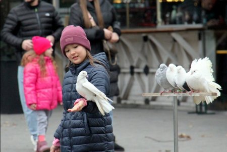 Праздничная Дерибасовская: новогодняя елка и мало людей на улице (фоторепортаж) 