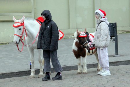 Праздничная Дерибасовская: новогодняя елка и мало людей на улице (фоторепортаж) 