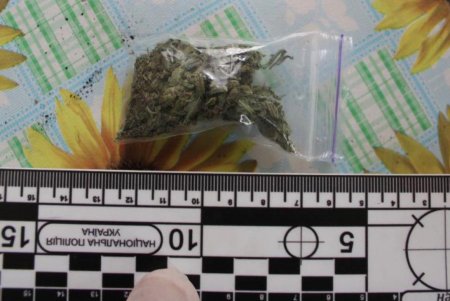 В Одессе ликвидирована преступная группировка, занимавшаяся распространением наркотиков (фото)