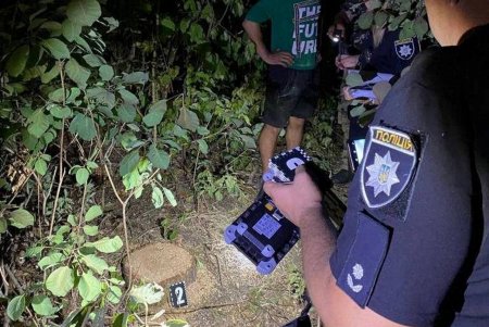 В Белгород-Днестровском районе двое мужчин незаконно рубили деревья, за что предстанут перед судом (фото)