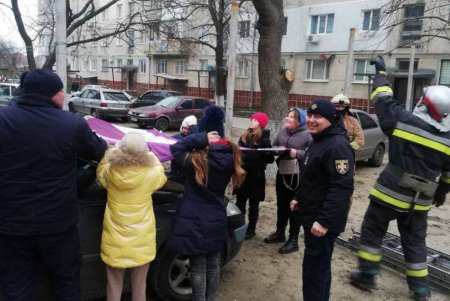 В Одесской области спасатели помогли спуститься с дерева котику и достали из ямы щенков (фото)