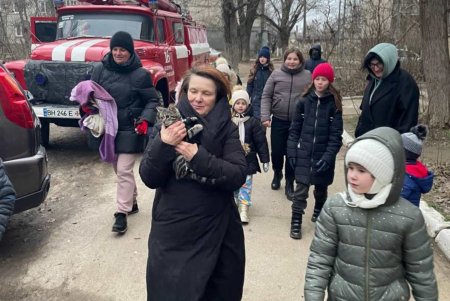 В Одесской области спасатели помогли спуститься с дерева котику и достали из ямы щенков (фото)