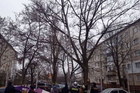 В Одесской области спасатели помогли спуститься с дерева котику и достали из ямы щенков (фото)