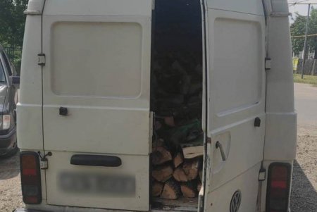 Семерых жителей Одесской области осудят за вырубку деревьев на землях «Укрзализныци» на семь миллионов гривен (фото)