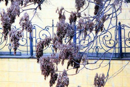 Улица Гоголя: исторические здания с впечатляющей архитектурой и вид на Тещин мост (фоторепортаж) 