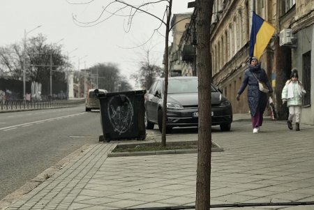 На спуске Маринеско неизвестные сломали молодое дерево (фото)
