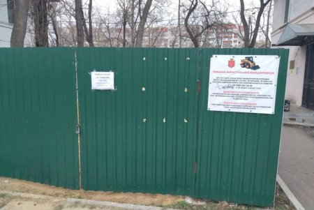 В Киевском районе города продолжают работу пункты приема живых елок (фото)