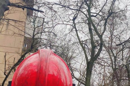 На проспекте Шевченко спасли котенка, который залез на крышу пятиэтажного дома (фото)