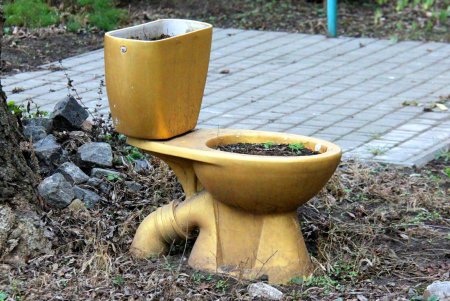 Незимняя зима в Одессе (фоторепортаж)